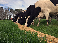 New article: Inflation and low supply growth dominate the dairy sector