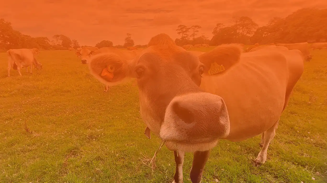 Dairy Conference 2026