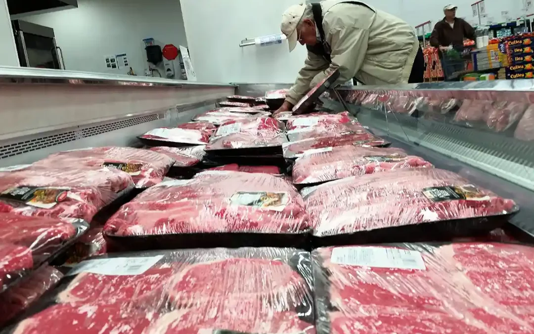 High Beef Prices and Slow Milk Supply Adjustments