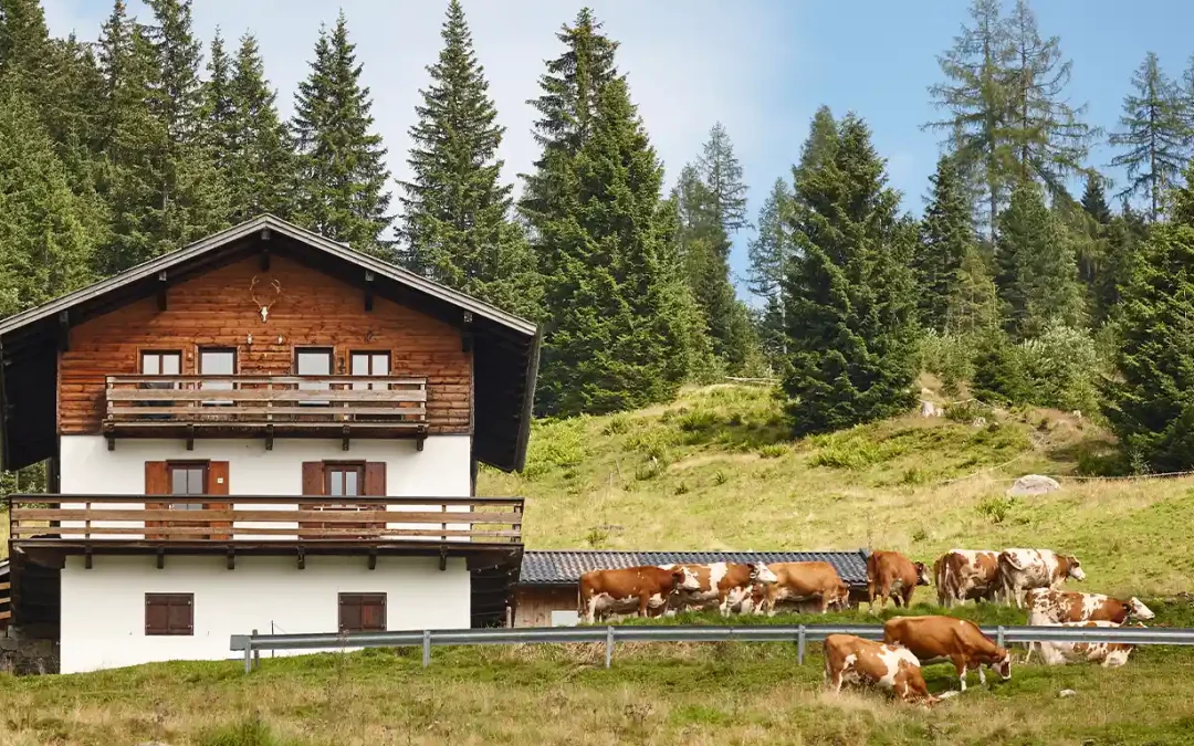 Dairy Futures Rise 10 USD for 2026: US, EU, NZ Signals