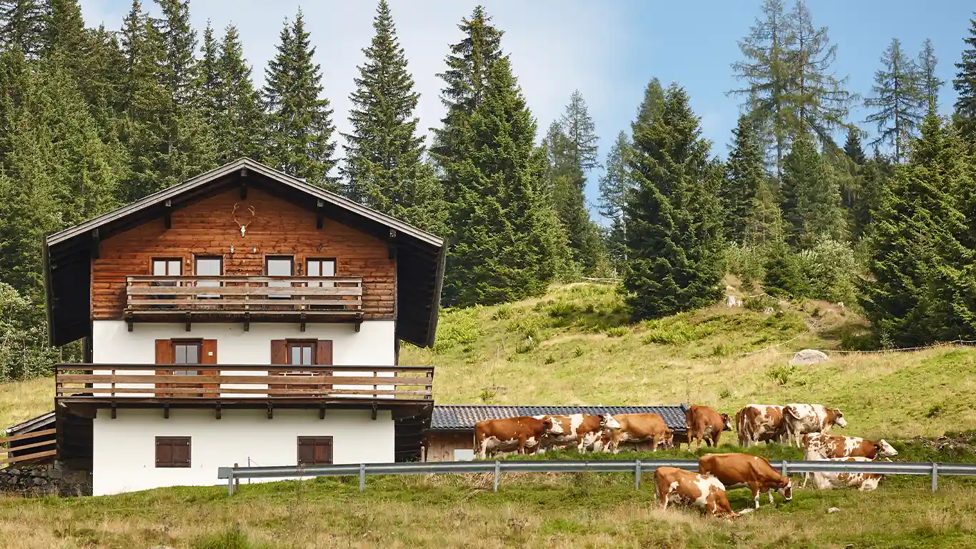 EU future dairy market