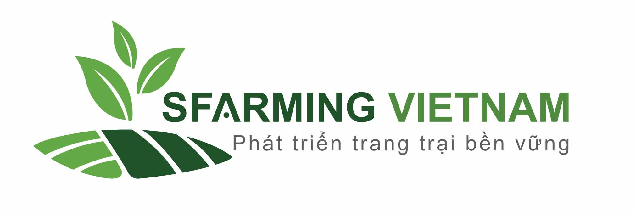 Logo_vuong